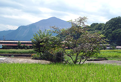 美やま温泉から望む武甲山画像