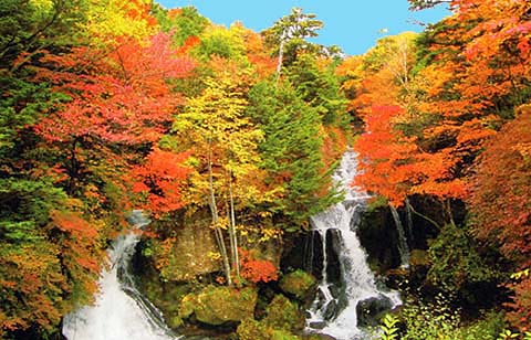 紅葉の竜頭の滝画像